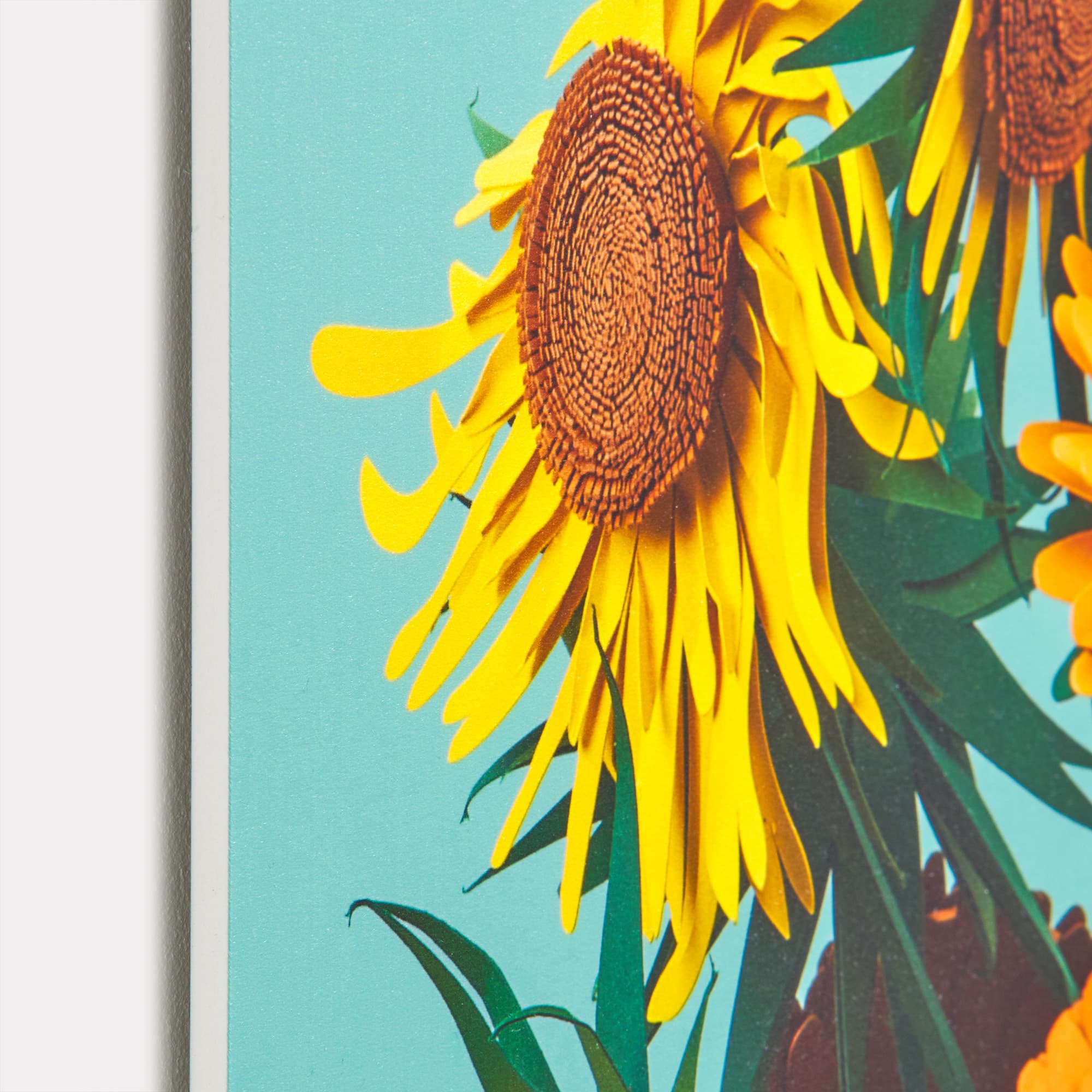 Photos sur carton mousse pvc
